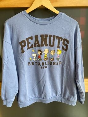 Peanuts / Charlie Brown Blue Sweatshirt Sweater (size S)